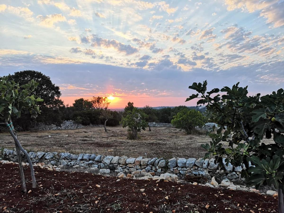 Dimora Verde B Con Trullo Masseria Poesia Чистерніно Екстер'єр фото