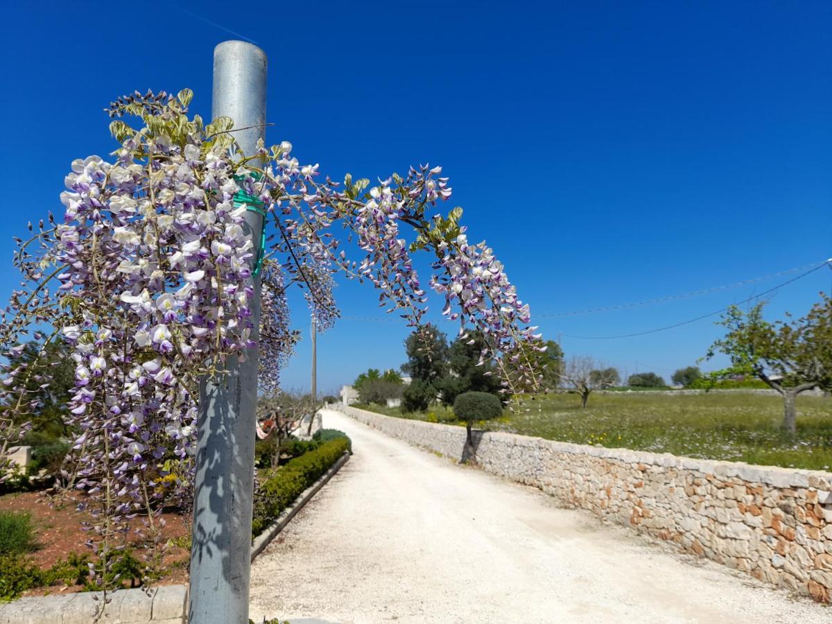 Dimora Verde B Con Trullo Masseria Poesia Чистерніно Екстер'єр фото