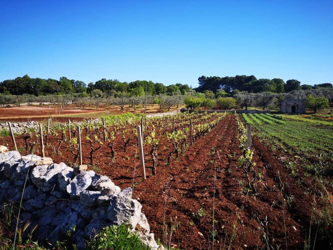 Dimora Verde B Con Trullo Masseria Poesia Чистерніно Номер фото